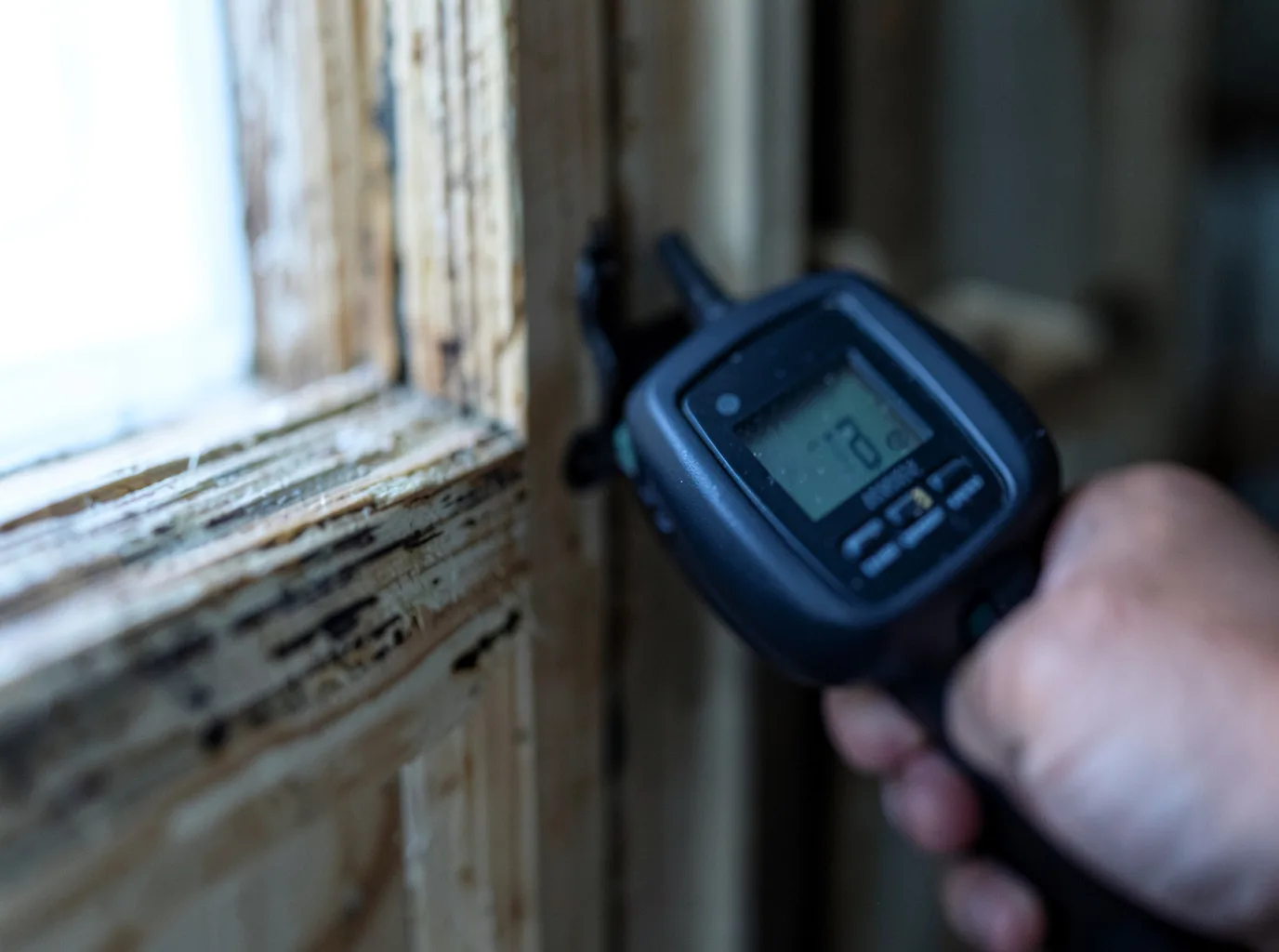 Moisture Inspection And Documentation in Collins, GA